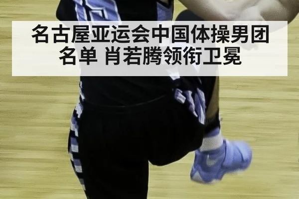 名古屋亚运会中国体操男团名单 肖若腾领衔卫冕