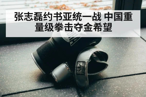 张志磊约书亚统一战 中国重量级拳击夺金希望